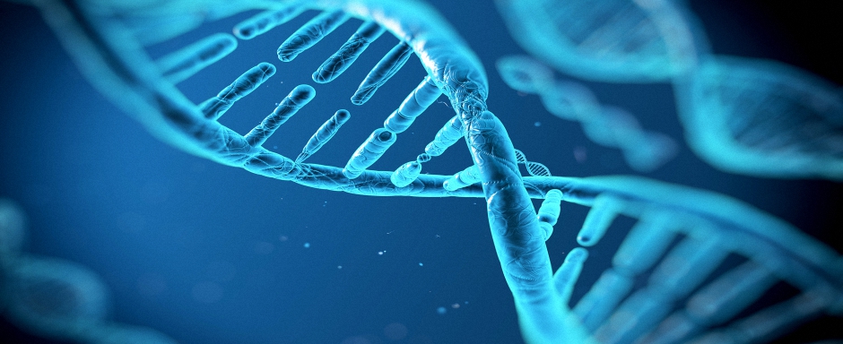 Moleküler Genetik